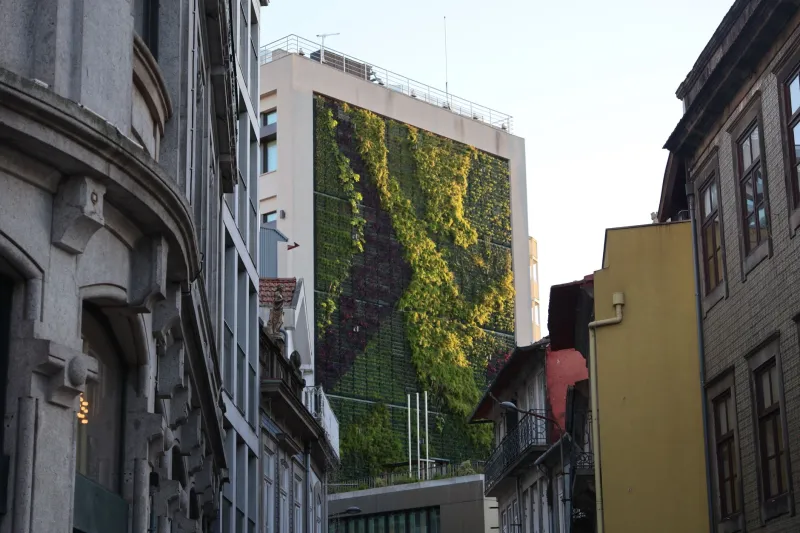 Arquitetura Sustentável no Brasil: Como o Diálogo Global Está Transformando Nossas Cidades