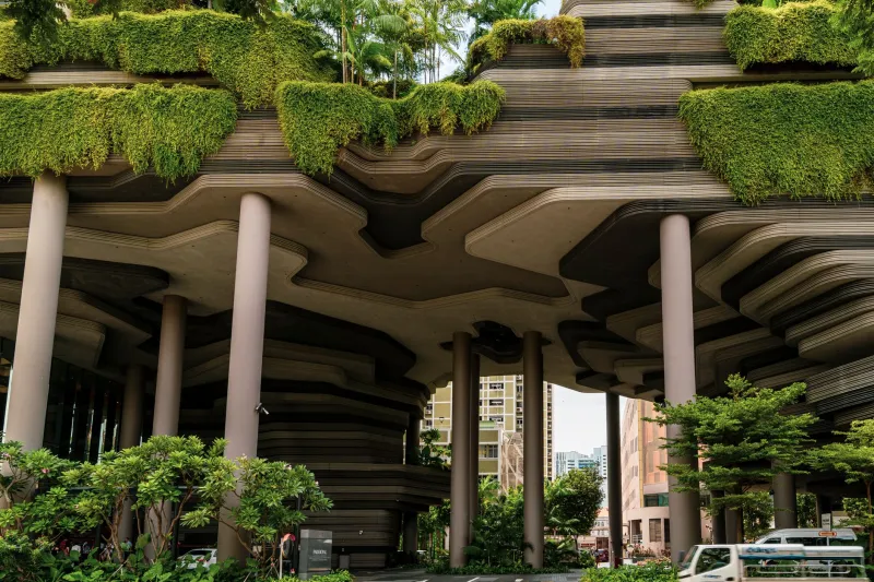 Raízes no Concreto: A Ascensão da Arquitetura Biofílica nas Cidades Brasileiras